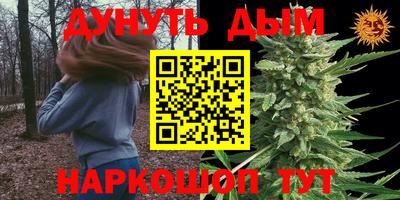 крисы Тулун