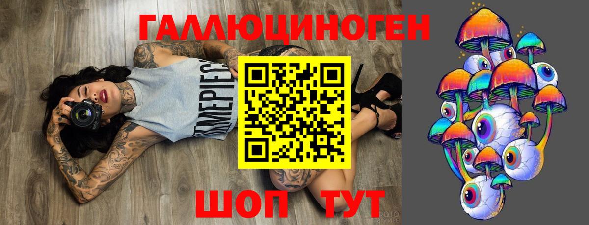 Галлюциногенные грибы Psilocybine cubensis Боровичи