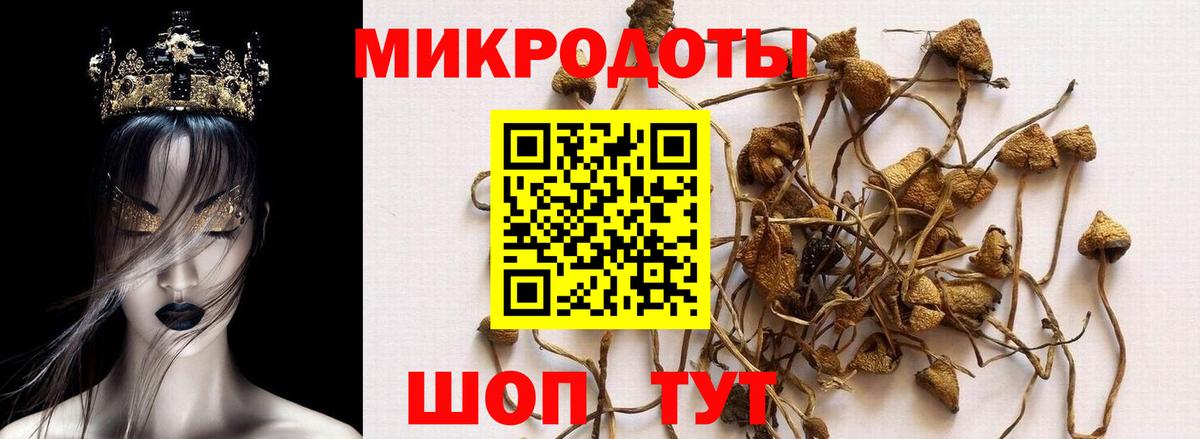 Боровичи  Псилоцибиновые грибы ЛСД  цена наркотик  Вход с VPN  Псилоцибиновые грибы ЛСД 